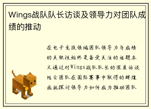 Wings战队队长访谈及领导力对团队成绩的推动