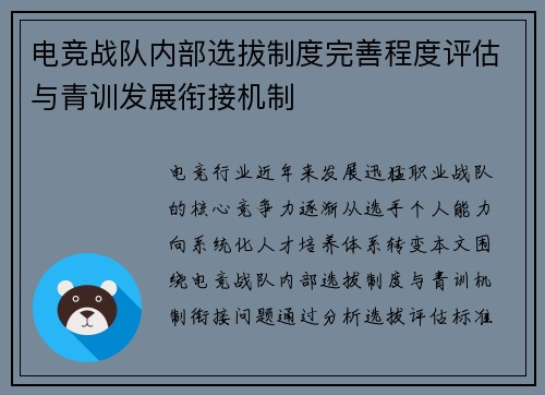 电竞战队内部选拔制度完善程度评估与青训发展衔接机制